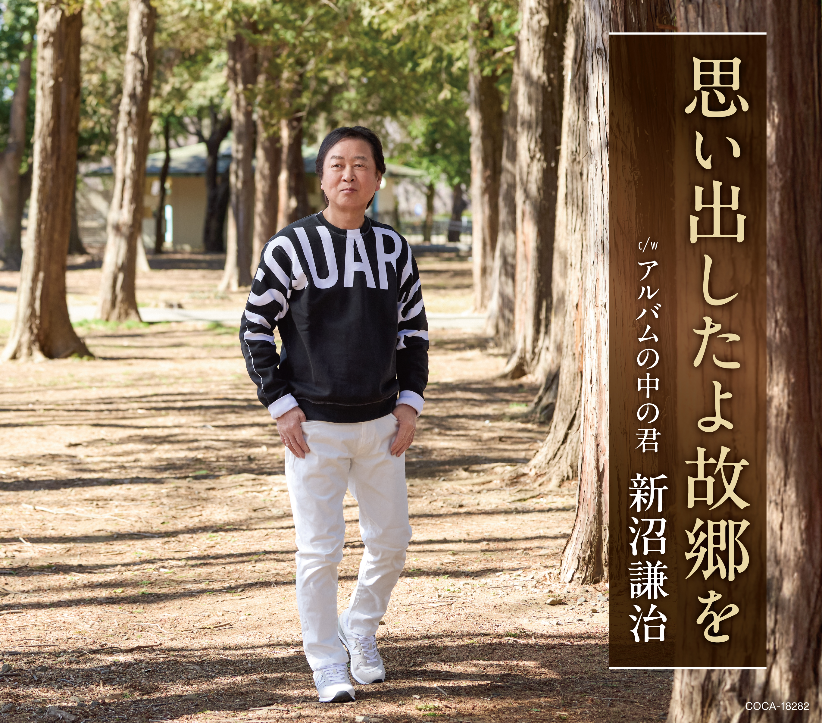 ディスコグラフィー | 新沼謙治オフィシャルサイト