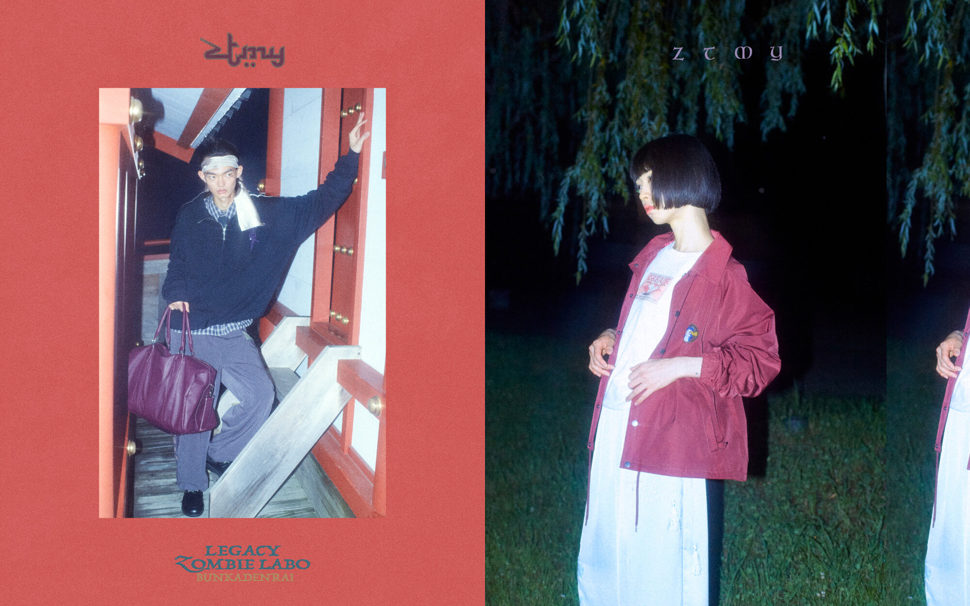 ztmy_look